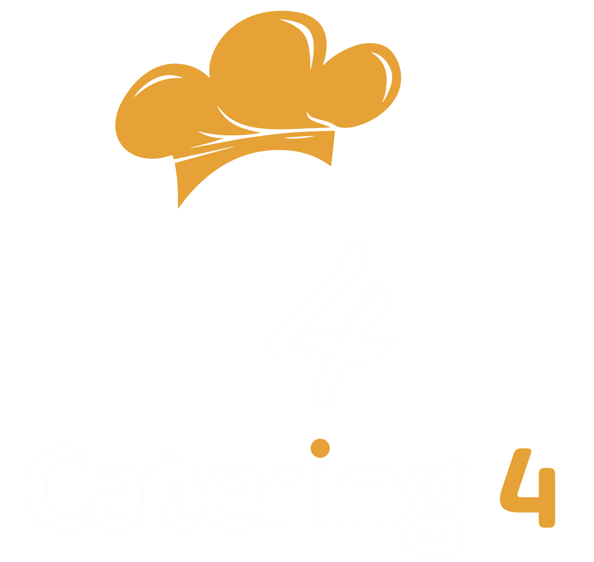 Catering 4